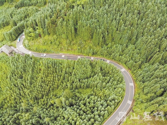 被森林包裹的道路。