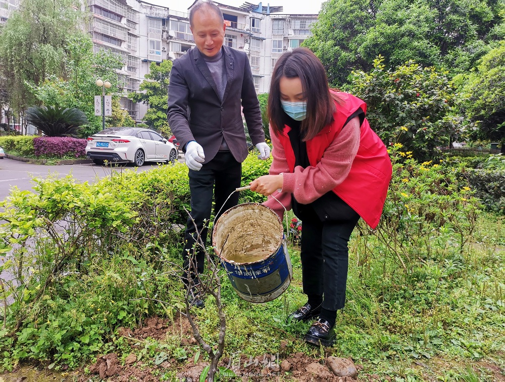 種下小樹，寄托思念.jpg