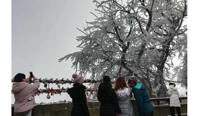 元旦假期 登山賞雪老峨山