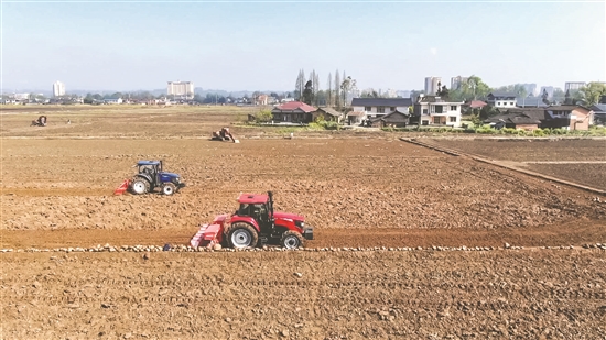 洪雅縣止戈鎮(zhèn)，種植大戶機(jī)械化整理土地。眉山日報(bào)全媒體記者 廖波 攝.jpg