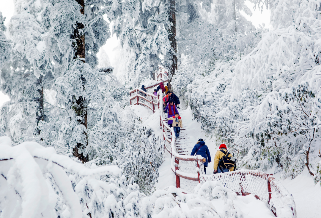 《瓦屋雪中游》張平  攝于瓦屋山風(fēng)景區(qū).png