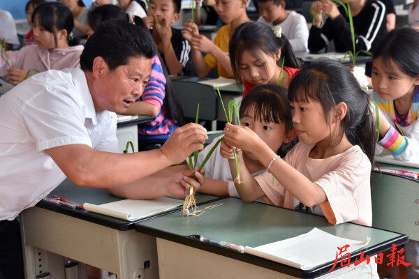  劉敬宗在張場小學(xué)引導(dǎo)學(xué)生做生活的有心人。