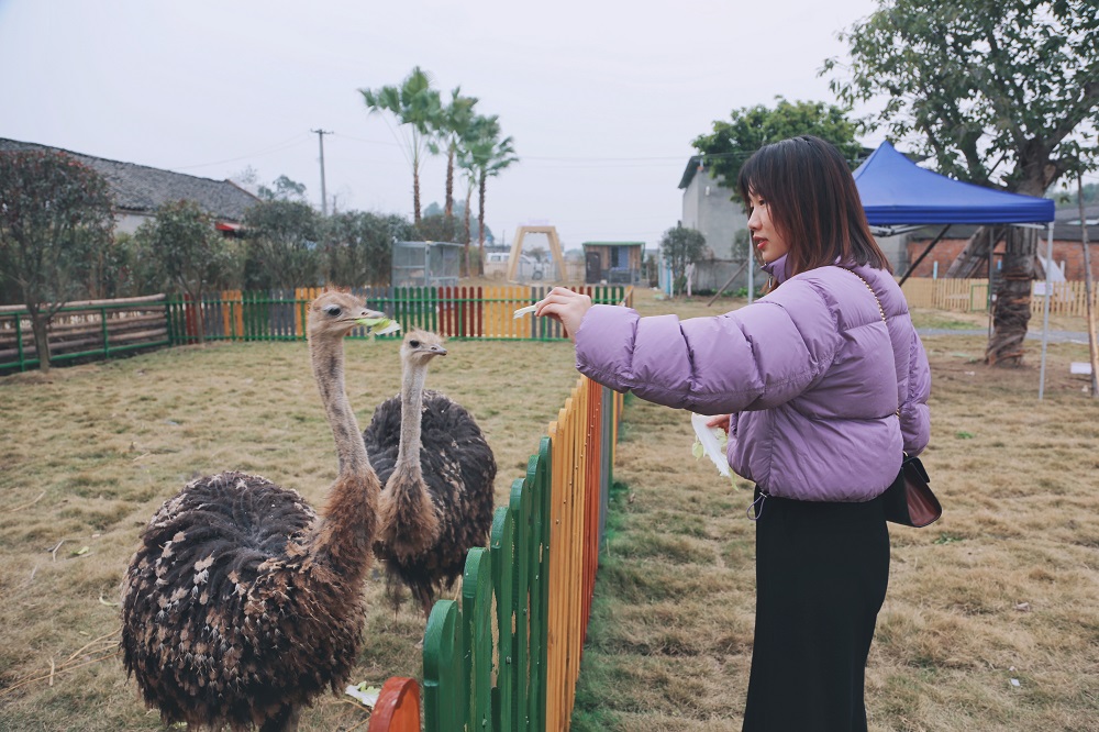 游客在“萌寵樂園”給小動(dòng)物喂食。.jpg