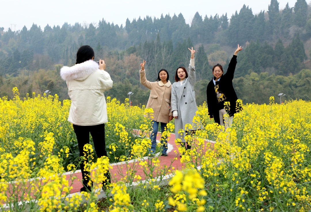 青崗鄉(xiāng)盤龍村油菜花開，游客來。.jpg