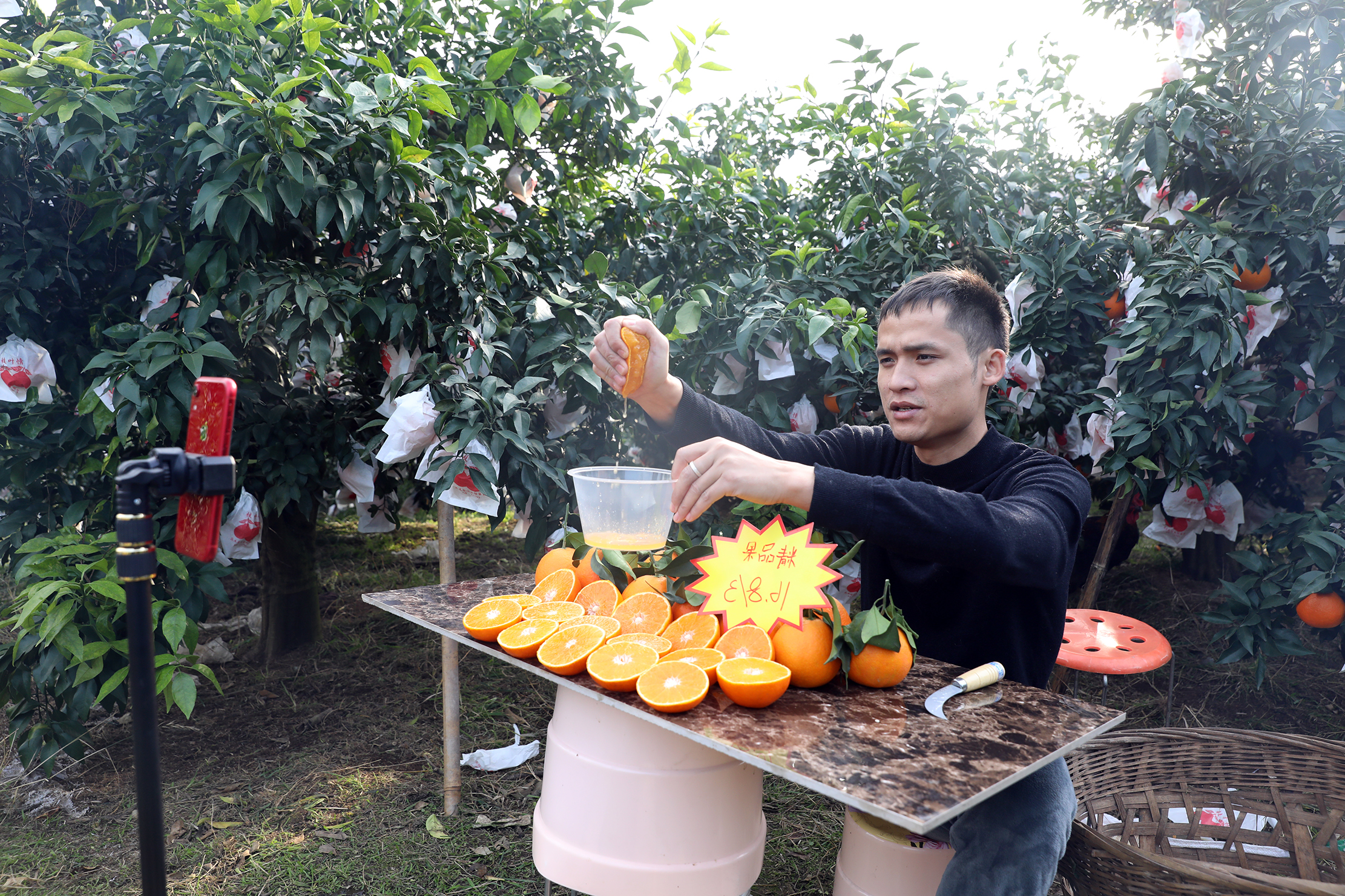  紅石村將電商作為柑橘銷售重點發(fā)展方向。