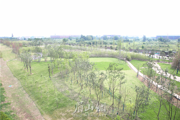 竹韻廊公園總進(jìn)度已完成80%。.JPG