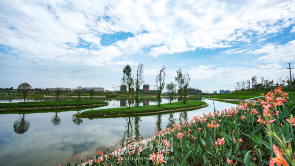 公園內(nèi)鮮花爭艷。