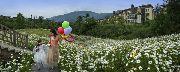 康養(yǎng)圣地七里坪。