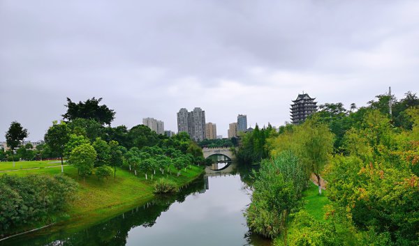 東坡城市濕地公園一角。