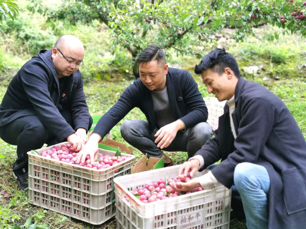 東坡區(qū)對(duì)口幫扶干部（左一）正在協(xié)助種植戶將脆紅李裝箱。