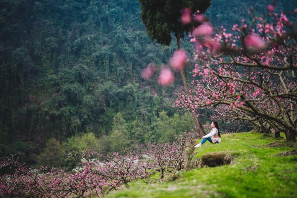 幸福古村成為人們向往的詩(shī)和遠(yuǎn)方。