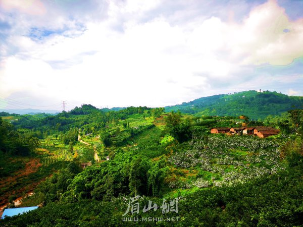 風(fēng)景如畫的官廳村。