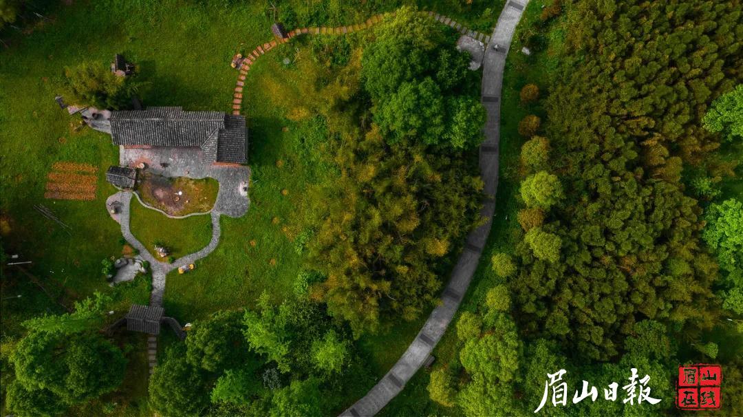 竹林濕地公園。徐鵬 攝