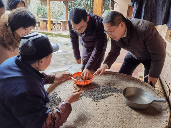  省同城化辦調(diào)研組調(diào)研蒲丹都市現(xiàn)代農(nóng)業(yè)融合發(fā)展示范區(qū)（資料圖）