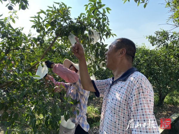 李培明認(rèn)為，誠實(shí)守信是做人的基本準(zhǔn)則。