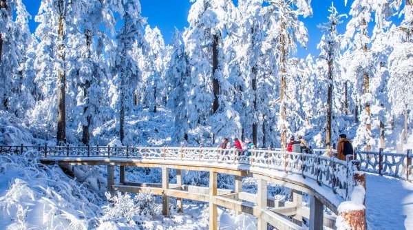 瓦屋山冰雪世界。