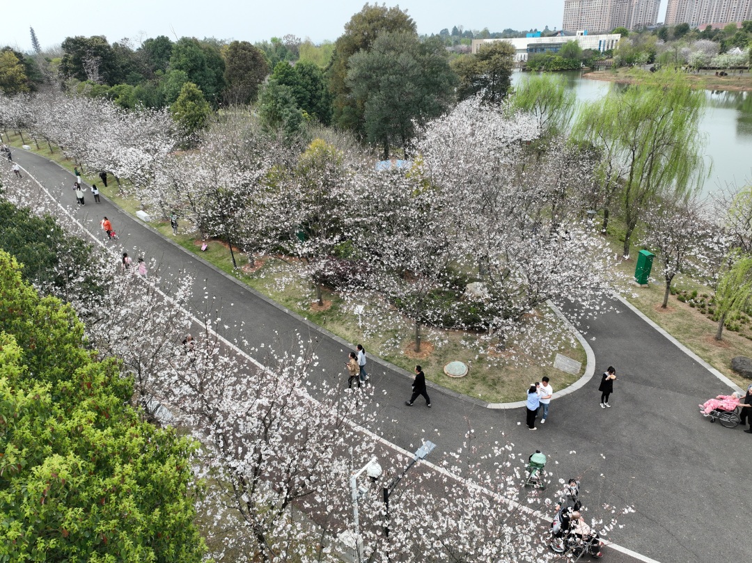 14 雷卓鳴.JPG