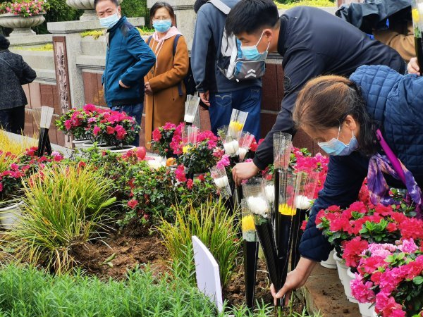 家屬為生態(tài)葬逝者獻(xiàn)花。