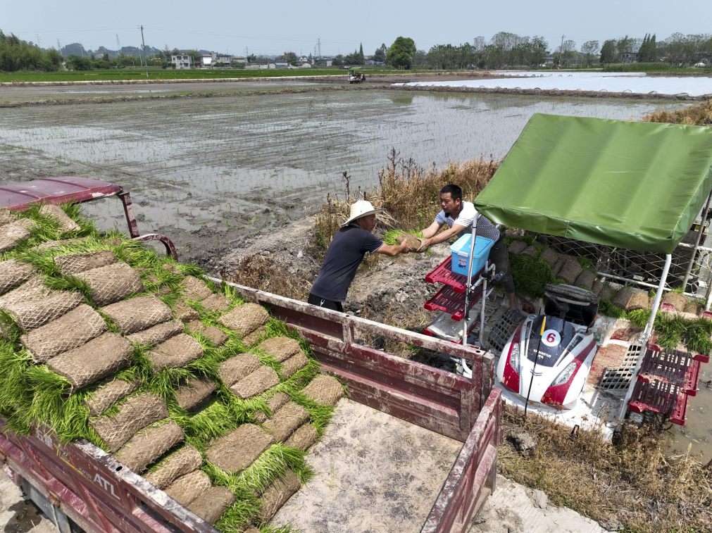 橋樓村機械化耕種