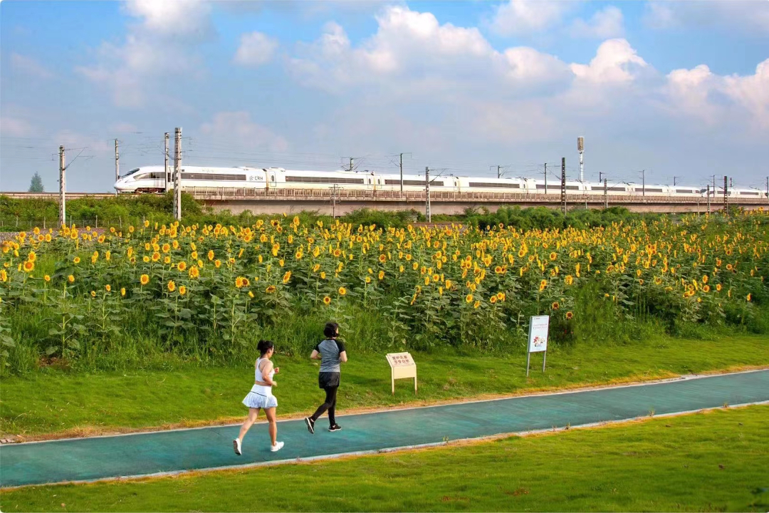 市民在公園里跑步鍛煉身體。