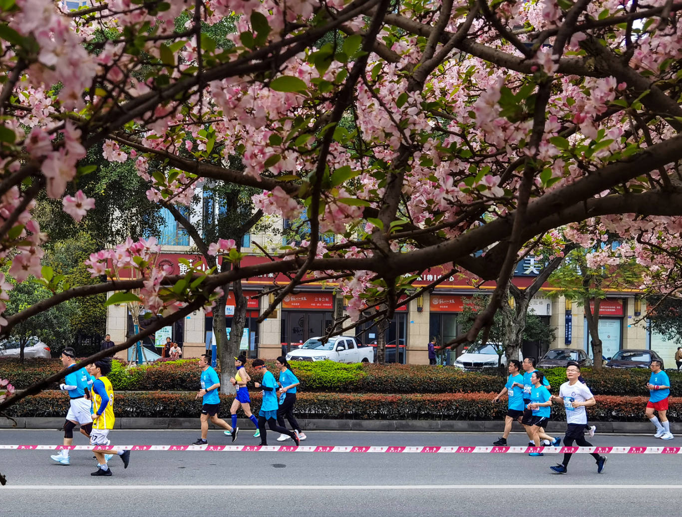 選誰從鮮花盛開的湖濱路跑過。.jpg