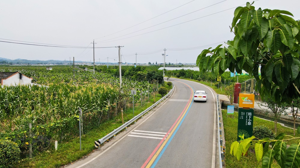 農(nóng)村公路寬敞平整。.jpg