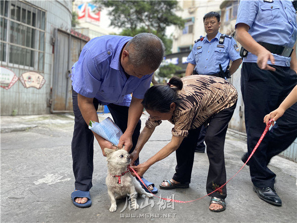 市民在蘇祠派出所民警的勸導(dǎo)下，迅速為自家敞放犬拴上牽引繩。